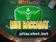 pitaco bet